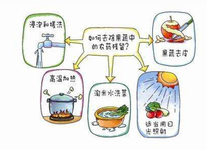 如何減少農(nóng)藥污染去除農(nóng)藥殘留？振華化工總結(jié)以下幾點(diǎn)分享給大家